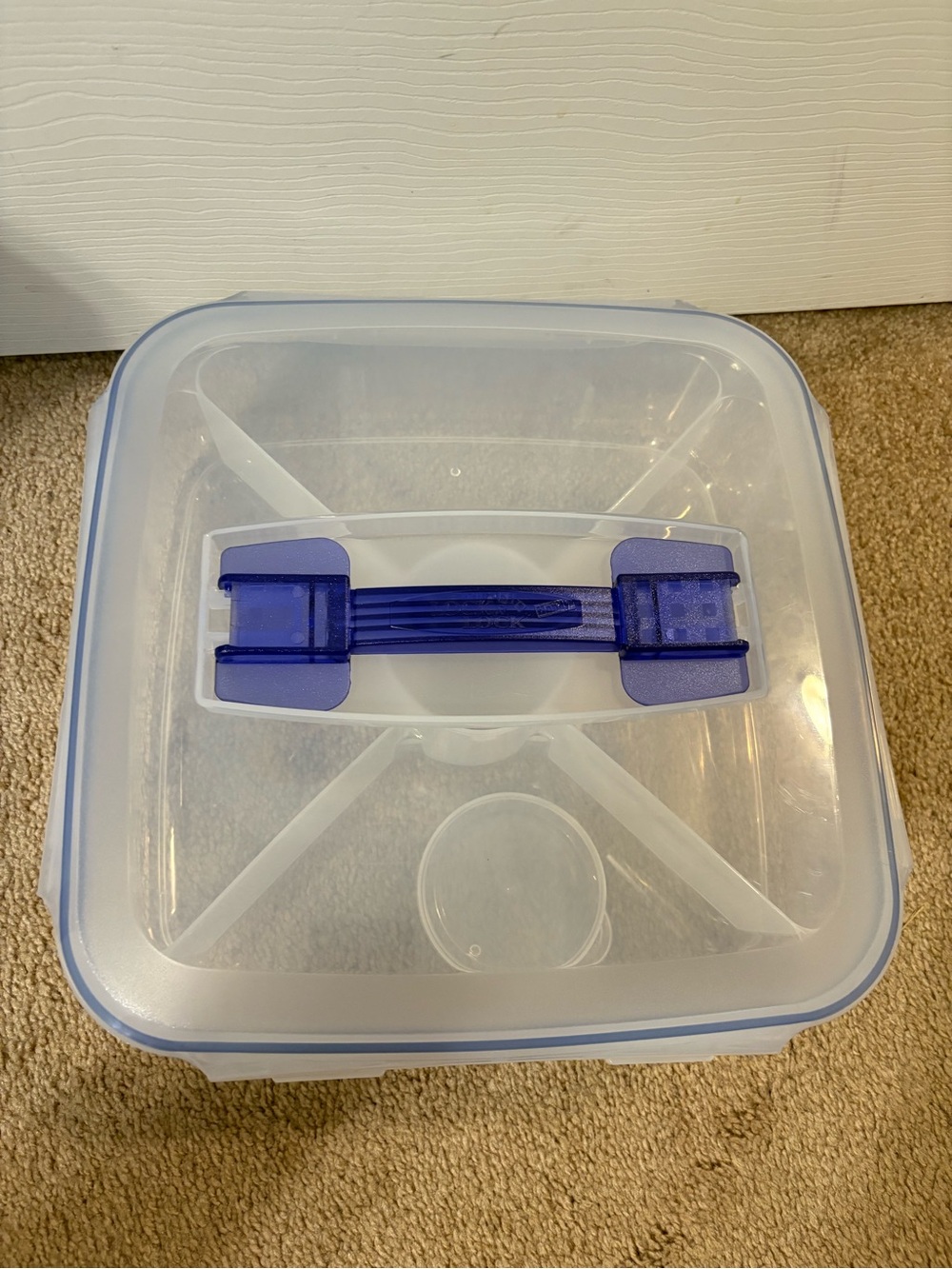 Lock & Lock Clear Plastic Food Storage Container with Blue Latch